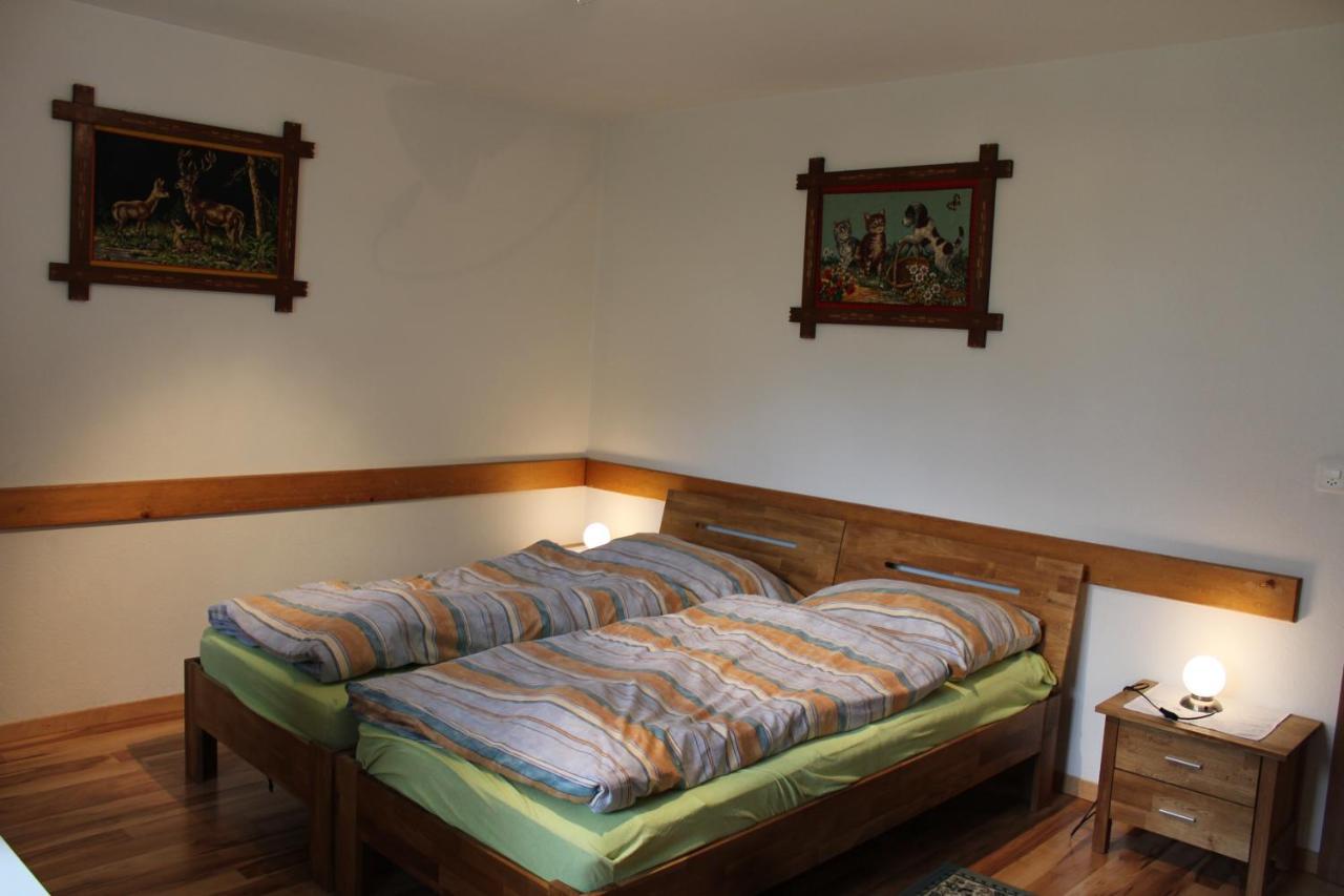 Villa Haus Weideli, Dammstrasse 7 à Saas-Grund Extérieur photo